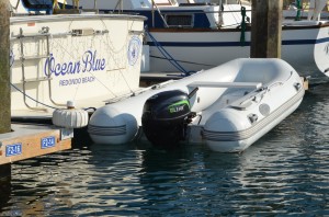 LEHR 15 hp outboard in use